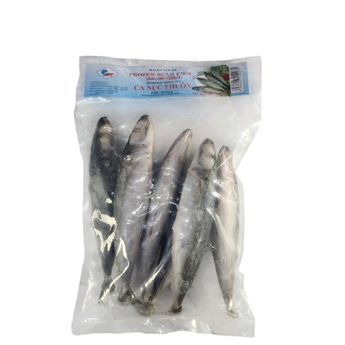 APT 냉동가라지(전갱이)GALUNGGONG)